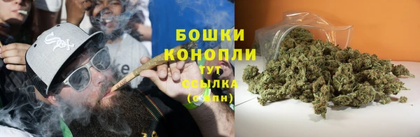 индика Елизово