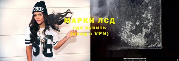 индика Елизово