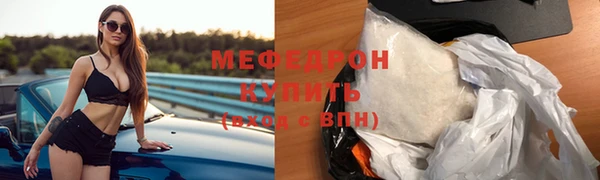 индика Елизово