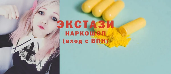 индика Елизово
