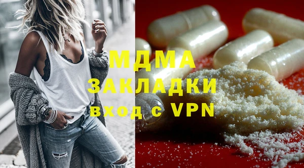 индика Елизово