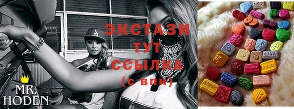 индика Елизово