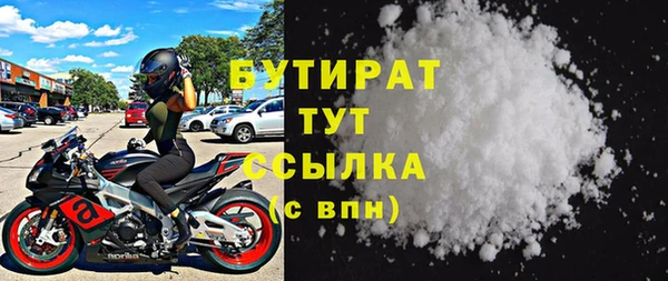 индика Елизово