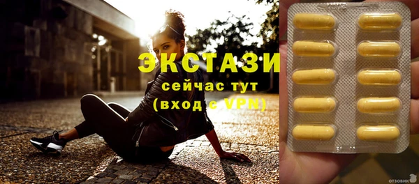 индика Елизово