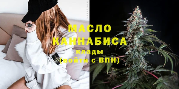 индика Елизово