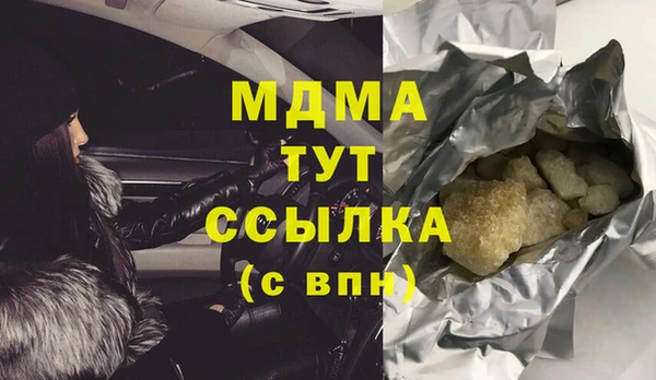 индика Елизово