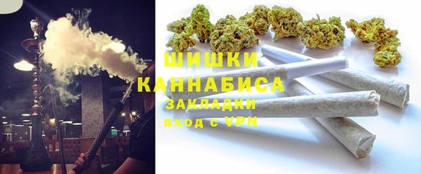 индика Елизово