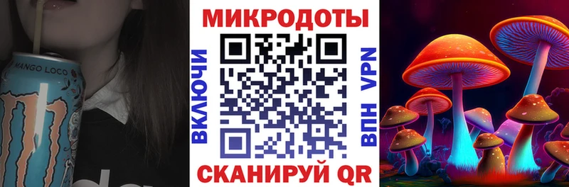Галлюциногенные грибы мухоморы Западная Двина