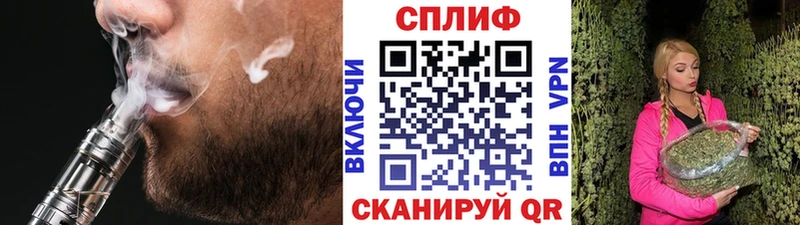 сколько стоит  Западная Двина  Бошки Шишки план 